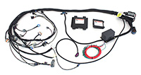 Gen 4 Harness and ECM 58x - Car - TB by Wire - Manual